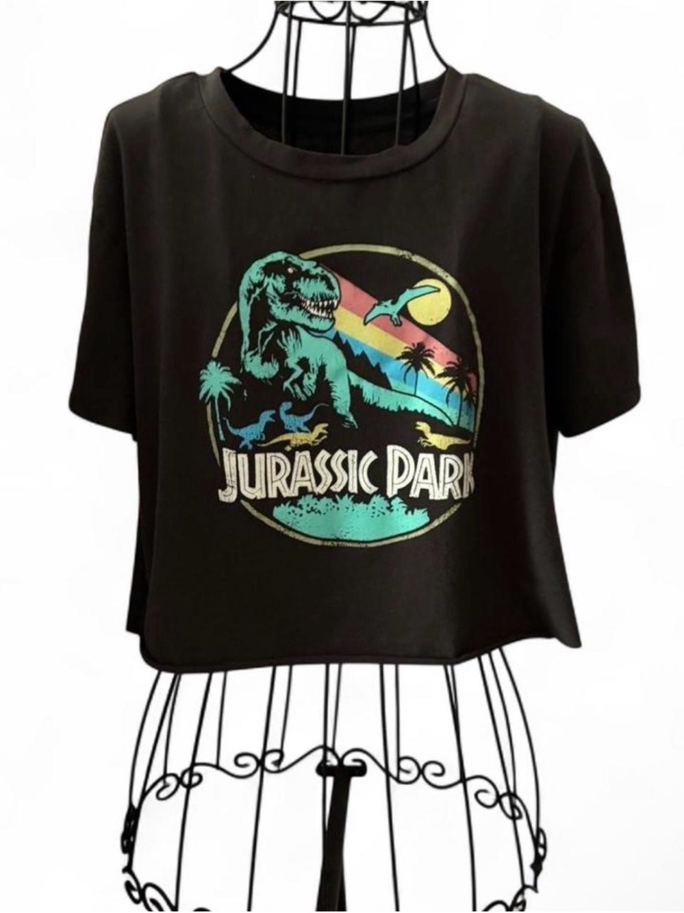 Women’s Jurassic Park Cropped Graphic Tee Size Small